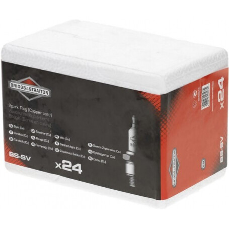 Bougie BRIGGS ET STRATTON 992301C