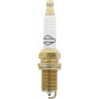 Bougie BRIGGS ET STRATTON 793541