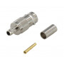 Antiparasite UNIVERSEL COB0724