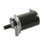 Démarreur KOHLER 2509807S