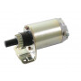 Démarreur 15 dents métallique BRIGGS ET STRATTON 691564