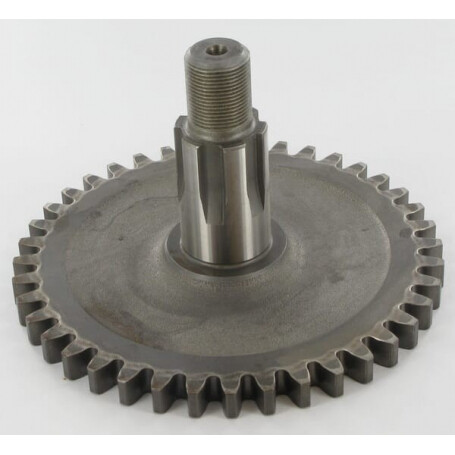 Pignon KUHN 55920200