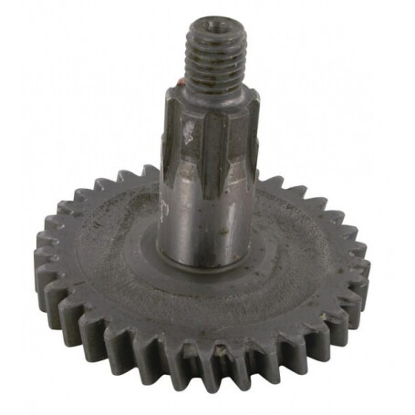 Pignon KUHN 56202420