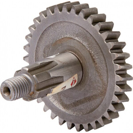 Pignon KUHN 56202510