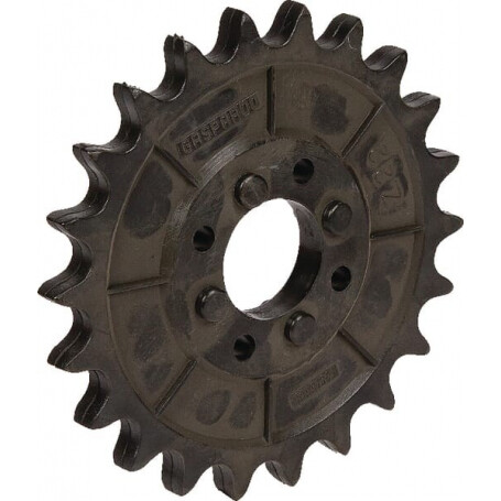 Pignon GASPARDO G66248162R