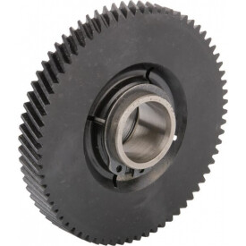 Pignon OUTILS-WOLF 69562OW