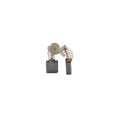 Jeu de charbons BOSCH NCE019924