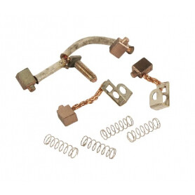 Charbons BRIGGS ET STRATTON 496813