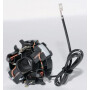 Charbons OUTILS-WOLF 33949OW