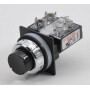 Bouton poussoir NEW-ELFIN 030RRNF1