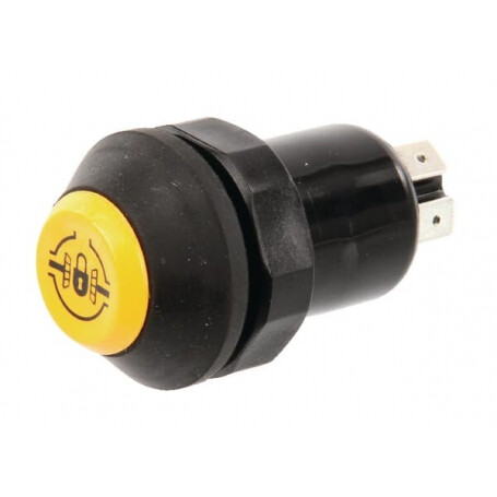 Interrupteur poussoir PNEUTRON 11245270PN