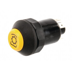 Interrupteur poussoir PNEUTRON 11175190PN