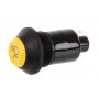 Interrupteur poussoir PNEUTRON 11145300PN