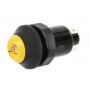 Interrupteur poussoir PNEUTRON 11130170PN