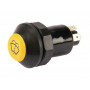 Interrupteur PNEUTRON 11245100PN