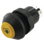 Interrupteur PNEUTRON 11175390PN
