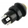 Interrupteur PNEUTRON 11175390PN