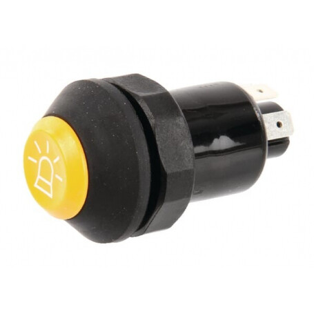 Interrupteur PNEUTRON 11110790PN