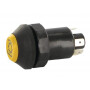 Interrupteur PNEUTRON 11110370PN