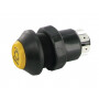 Interrupteur PNEUTRON 11100240PN