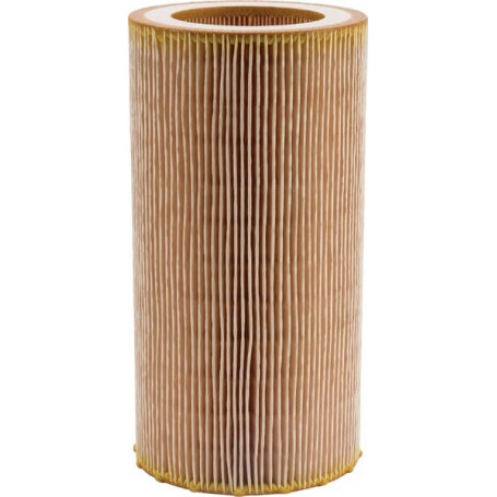 Filtre à air MANN-FILTER C10050