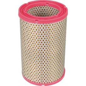 Filtro aria MANN-FILTER C1134