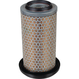 Filtre à air MANN-FILTER C1176