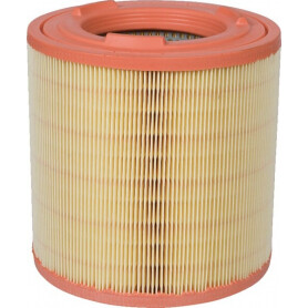 Filtre à air MANN-FILTER C181491