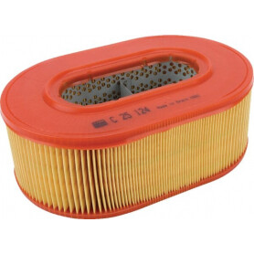 Filtre à air MANN-FILTER C25124