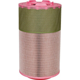 Filtre à air MANN-FILTER C271170