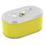 Filtre à air HIFI-FILTER FGP016000