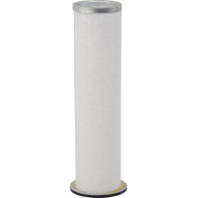 Filtre à air DONALDSON P123160