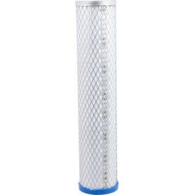 Filtre à air DONALDSON P526504