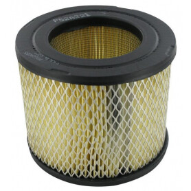Filtre à air DONALDSON P528221