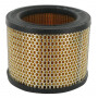 Filtre à air TORO FGP011789