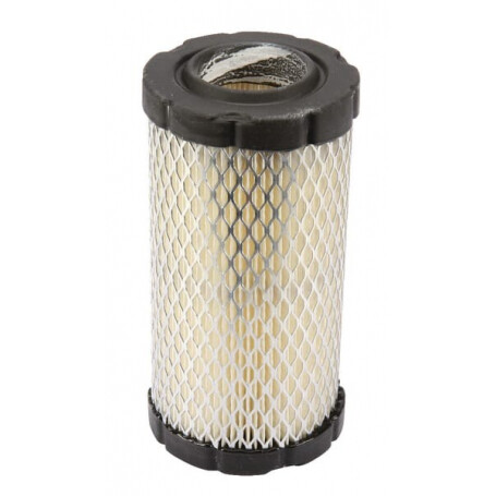 Filtre à air rond BRIGGS ET STRATTON 793569