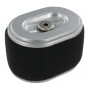 Filtre à air ovale BRIGGS ET STRATTON 590601