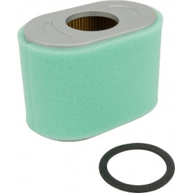 Filtre à air BRIGGS ET STRATTON 797032