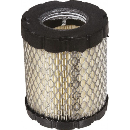 Filtre à air BRIGGS ET STRATTON 798897