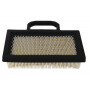 Filtre à air BRIGGS ET STRATTON 4223