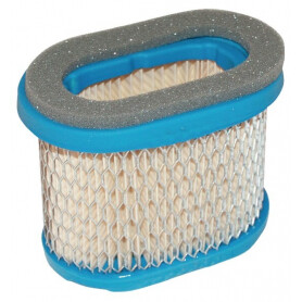 Filtre à air BRIGGS ET STRATTON 697029