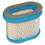 Filtre à air BRIGGS ET STRATTON 697029