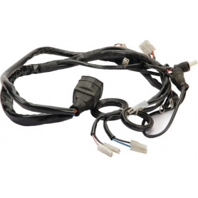 Faisceau moteur ETESIA ET29876