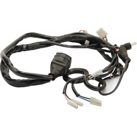 Faisceau moteur ETESIA ET29876