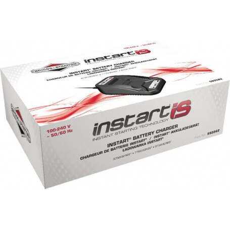 Chargeur de batteries BRIGGS ET STRATTON 593562