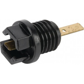 Bouchon d'huile BRIGGS ET STRATTON 699947