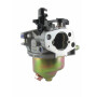 Carburateur MTD 751-10309