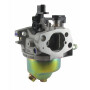 Carburateur MTD 751-10310