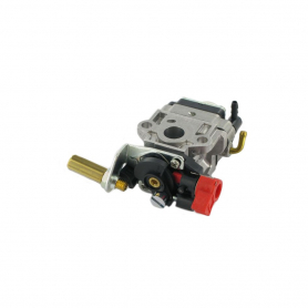 Carburateur CASTELGARDEN - GGP 1L4353270/1 - 1L43532701