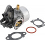 Carburateur BRIGGS ET STRATTON 591137